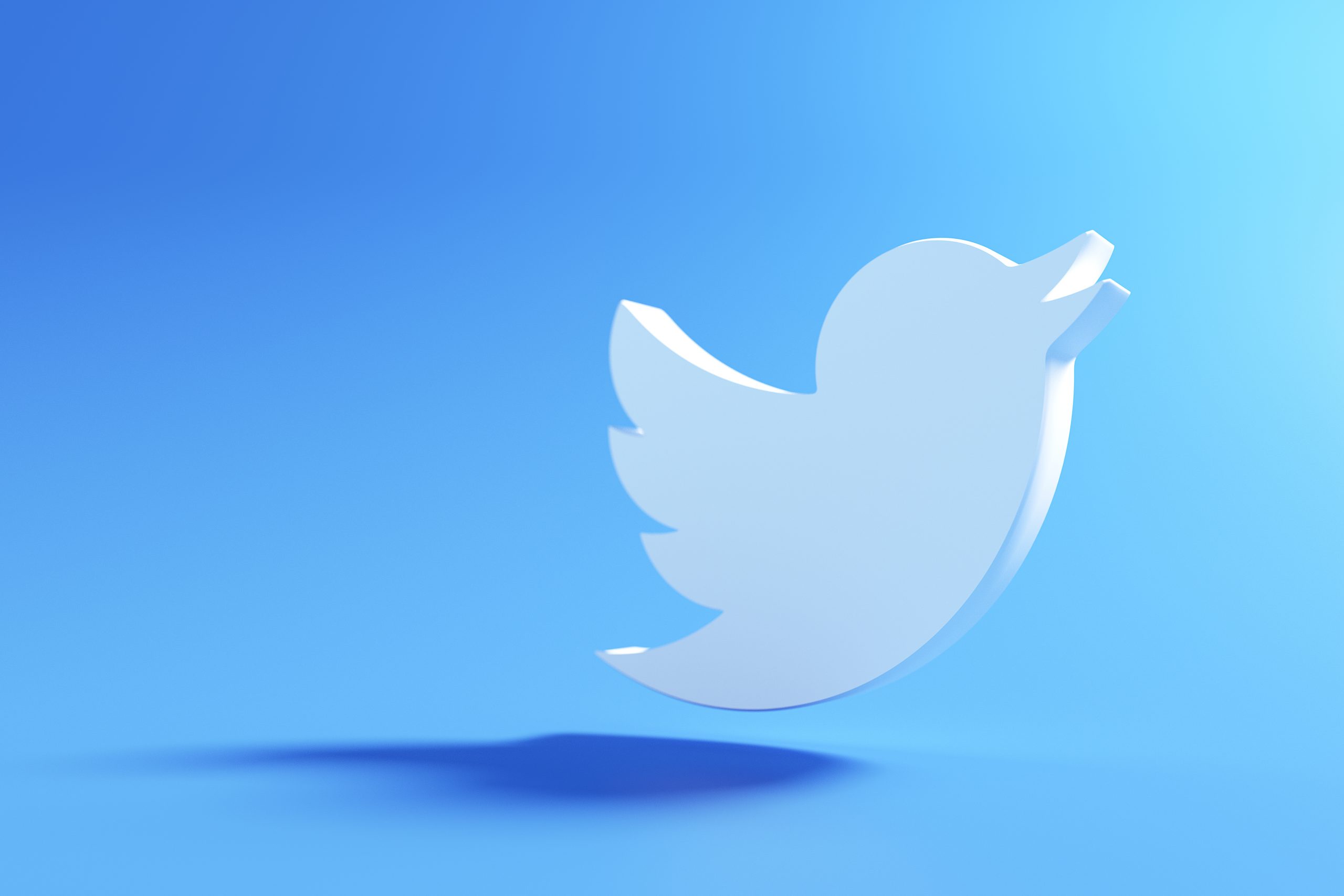 A three-dimensional Twitter logo, symbolizing reputation management, is set against a blue background, casting a soft shadow beneath it.